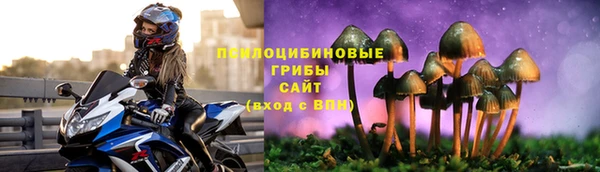 дурь Каменногорск