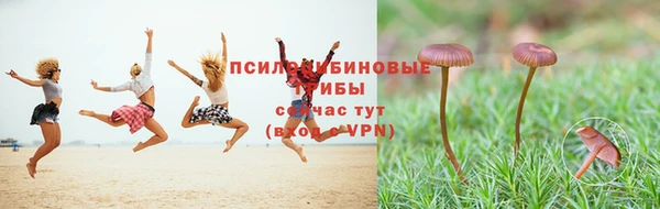 PSILOCYBIN Инта