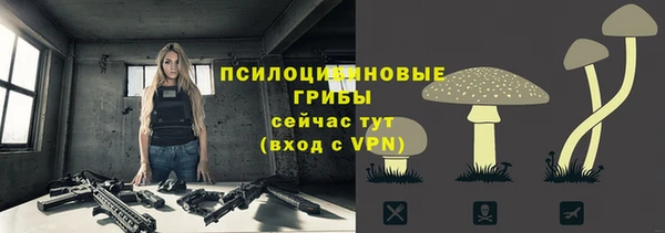 спайс Каменка