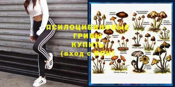 дурь Каменногорск