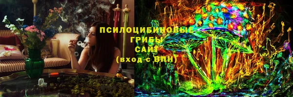 PSILOCYBIN Инта