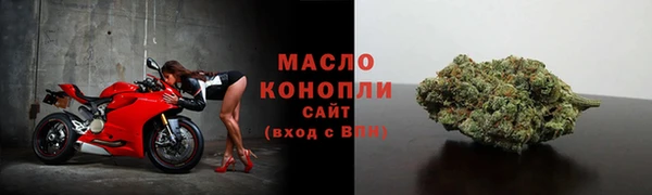 спайс Каменка